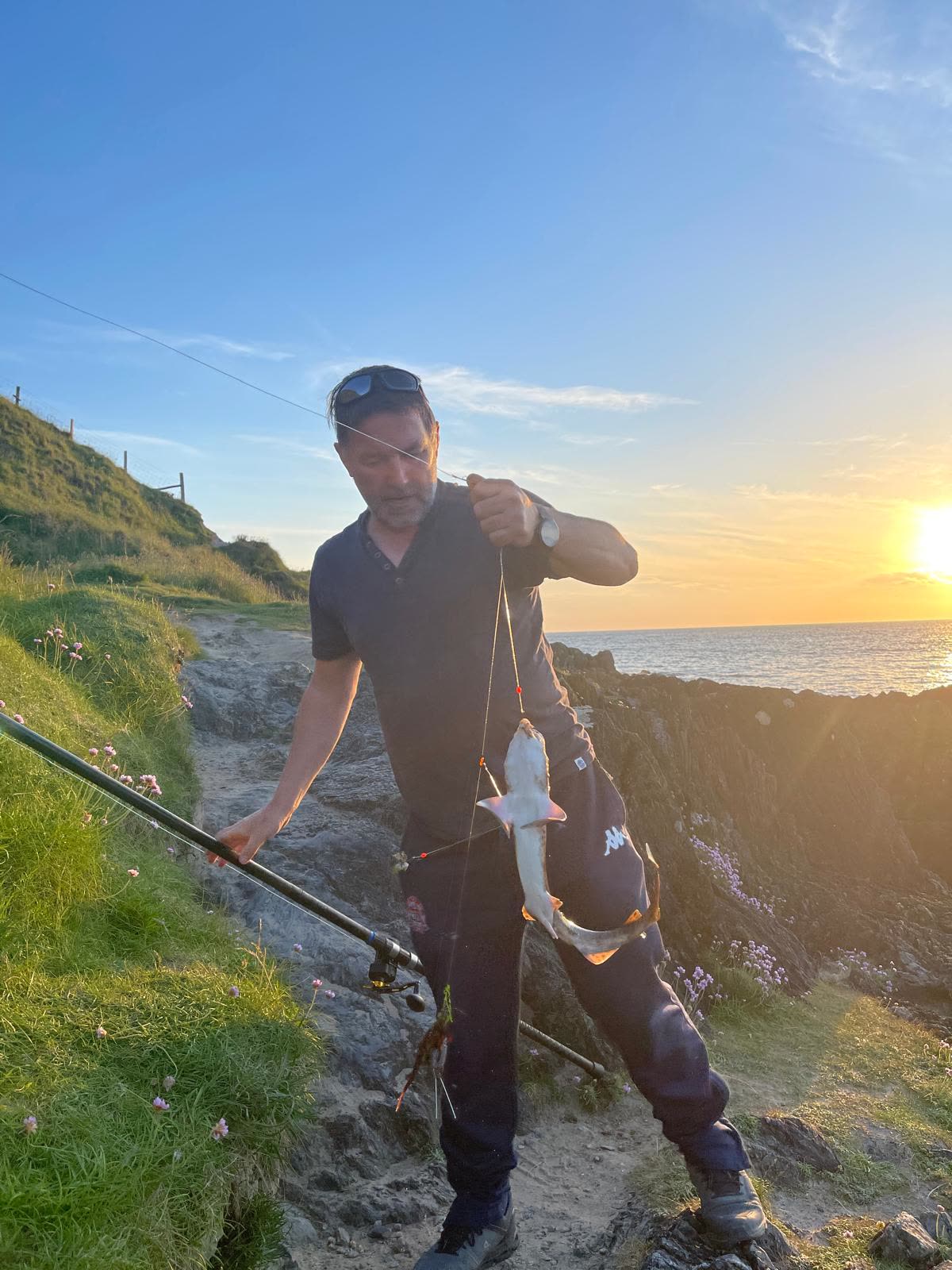 A lesser spotted dogfish caught at last light